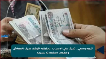 تنويه رسمي.. تعرف على الأسباب الحقيقية لتوقف صرف المعاش وخطوات استعادته بسرعة